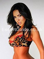 London Escort - Alisa_Moretti escort girl in London
